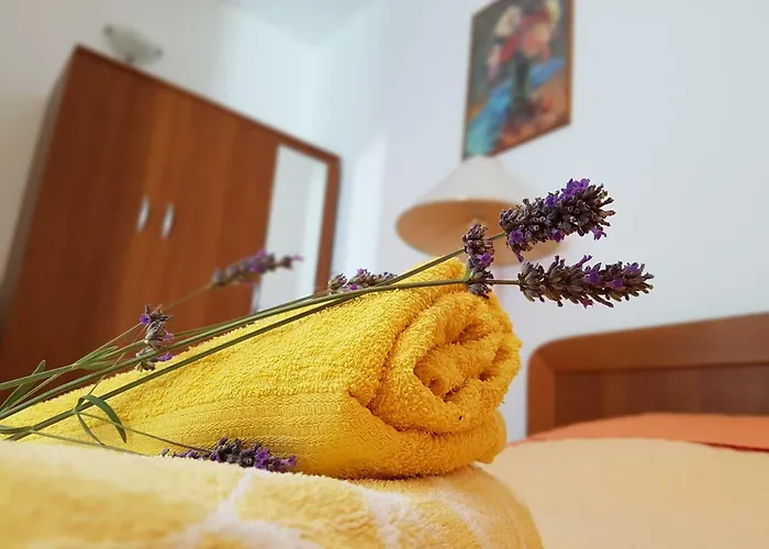 Cvita بيت ضيافة 3*