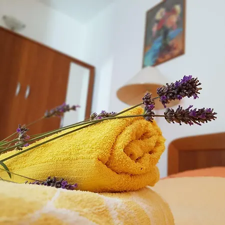 Cvita Gostinjska kuća 3*