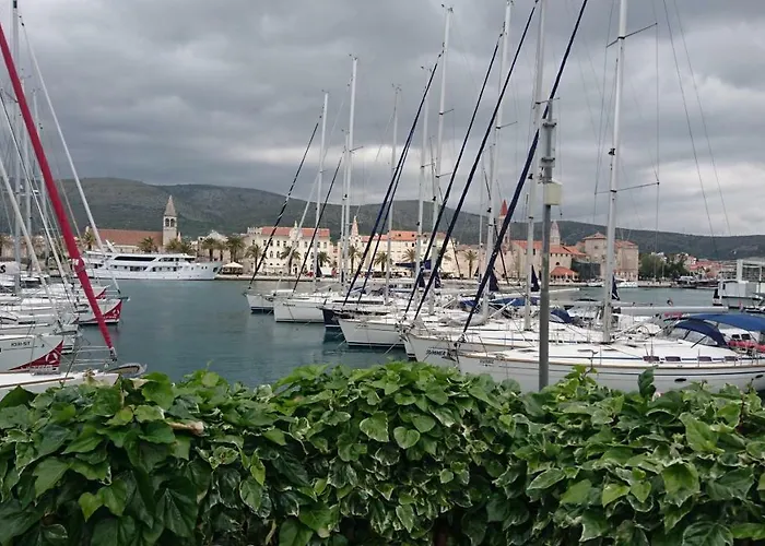 Cvita Trogir
