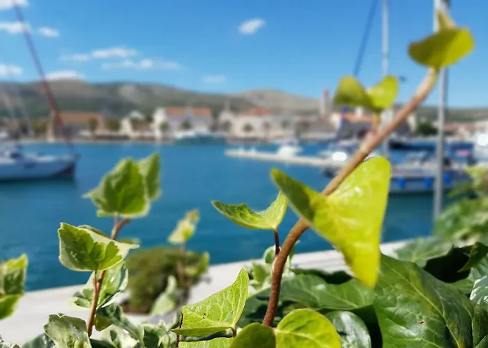 Cvita Gasthuis Trogir